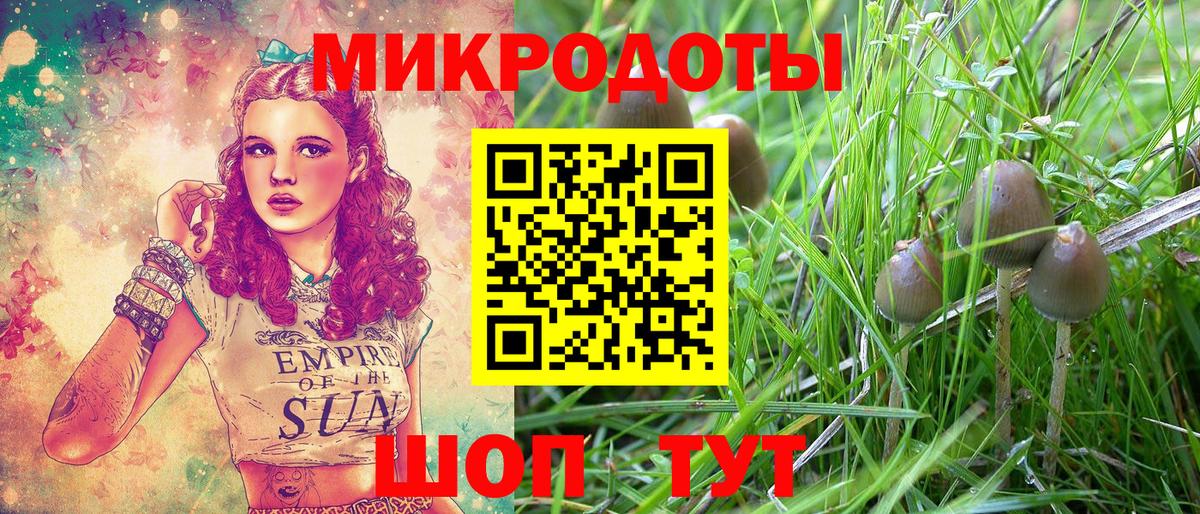 Псилоцибиновые грибы Cubensis Самара