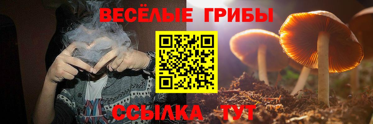 Псилоцибиновые грибы MAGIC MUSHROOMS  Вход с VPN  Галлюциногенные грибы ЛСД  Самара 
